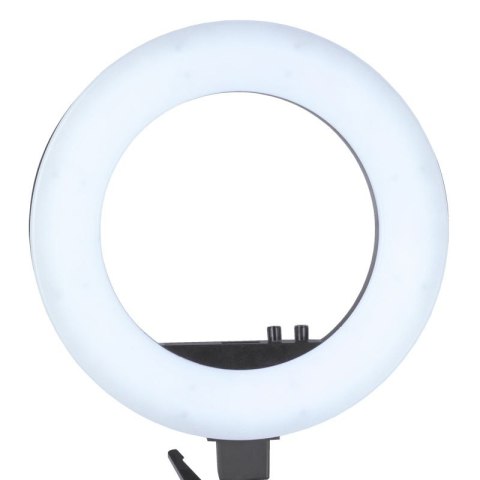 Lampa pierścieniowa Ring light 18" 48W led czarna + statyw