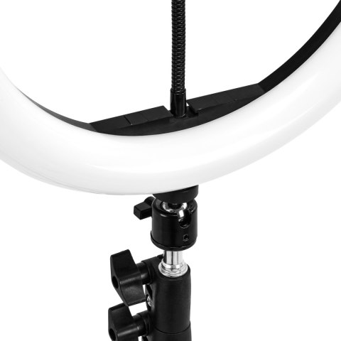 GLOW lampa pierścieniowa ring 10"" bsc ze statywem 10W