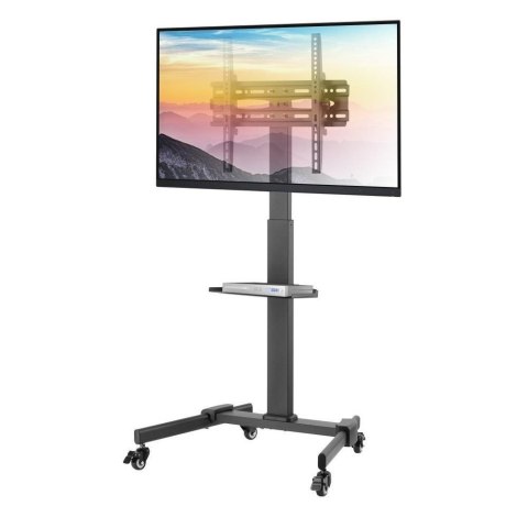 Stojak mobilny Techly 32"-55", 35kg, z półką Stojak mobilny Techly 32"-55", 35kg, z półką