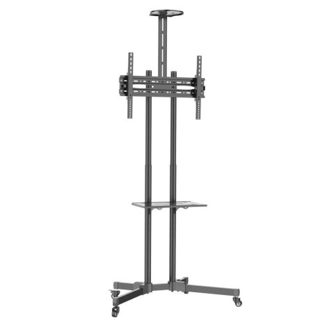 Stojak mobilny Techly 37''-70'', 50kg regulowany, 2xpółka Stojak mobilny Techly 37''-70'', 50kg regulowany, 2xpółka