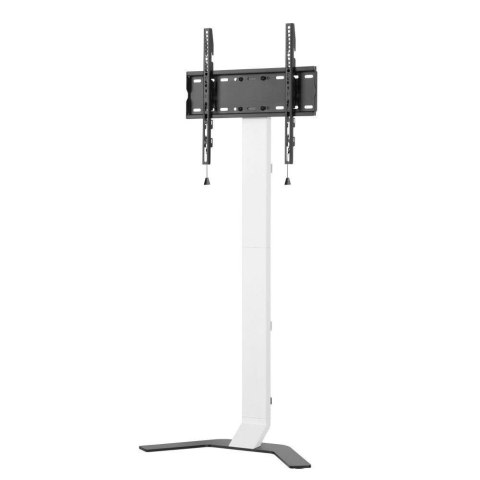 Stojak podłogowy Techly 32"-70" 40kg Slim Stojak podłogowy Techly 32"-70" 40kg Slim
