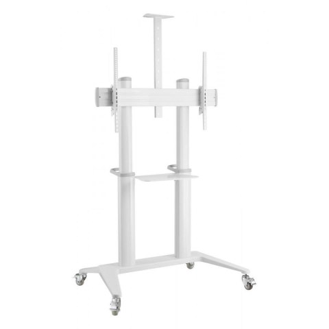 Stojak mobilny Techly 70"-120", 140kg z półką, biały Stojak mobilny Techly 70"-120", 140kg z półką, biały