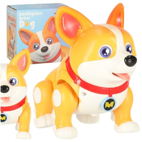 Pies piesek interaktywny robot Corgi świecące uszy muzyka Pies piesek interaktywny robot Corgi świecące uszy muzyka